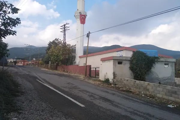 ÇERÇİLİ MAHALLE CAMİİ - Resim 19