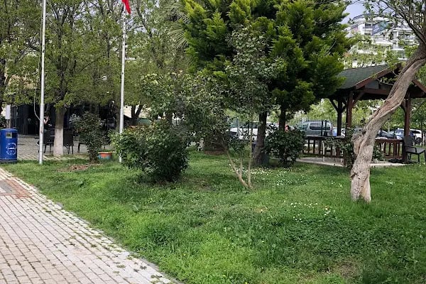 Büyükçekmece Tenis Okulu - Resim 2
