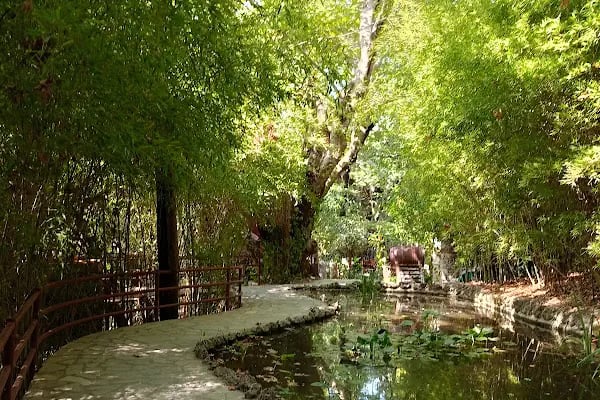Akkaya Garden Restaurant - Resim 4