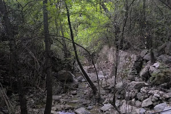 Akkaya Garden Restaurant - Resim 13