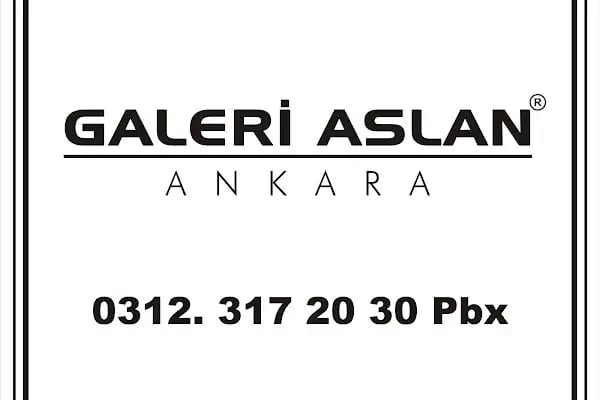 Galeri Aslan Otonomi Ankara - Resim 3