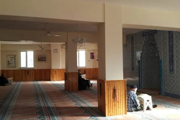 Mahmutoğlu Cami - Resim 8