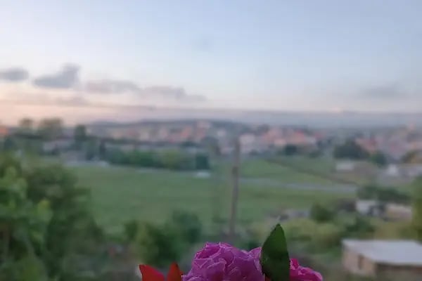 Bolluca Merkez Cami - Resim 4