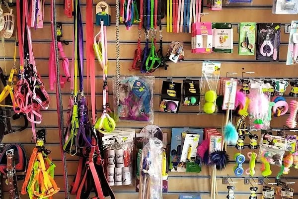 Derin Petshop - Resim 10