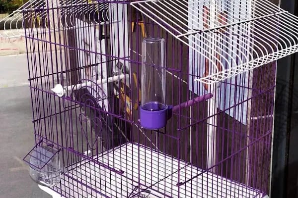 Derin Petshop - Resim 6