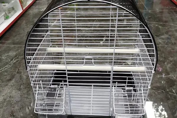 Derin Petshop - Resim 13