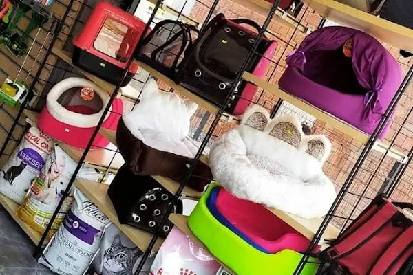 Derin Petshop - Resim 17