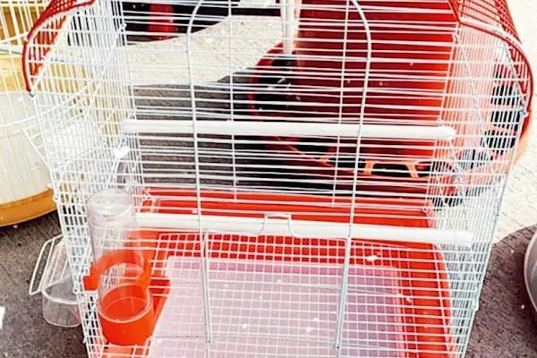 Derin Petshop - Resim 9