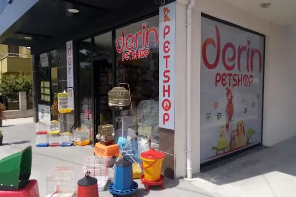 Derin Petshop - Resim 15