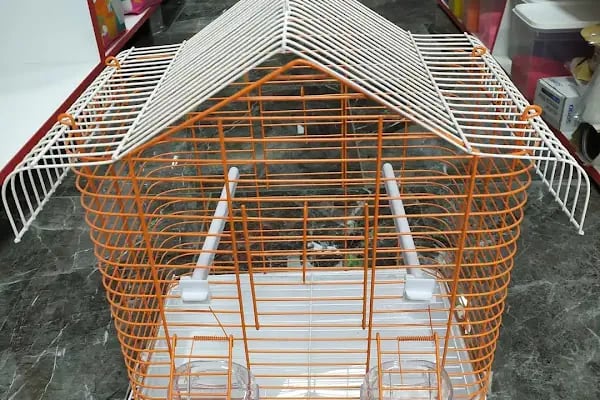 Derin Petshop - Resim 3