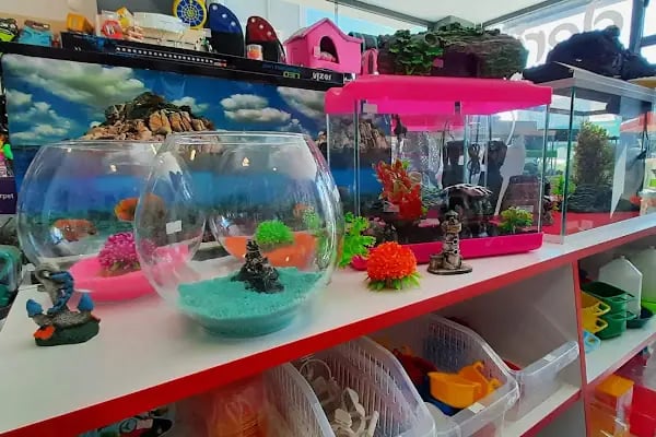 Derin Petshop - Resim 2
