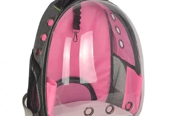 Derin Petshop - Resim 8