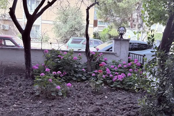 UMAY BAZLAMA EVİ - Resim 16