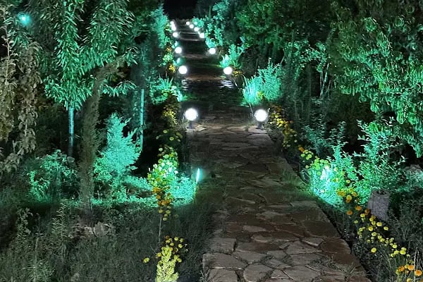 Necip Özbek Restaurant - Resim 4