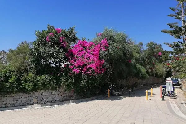 Public beach - Resim 4