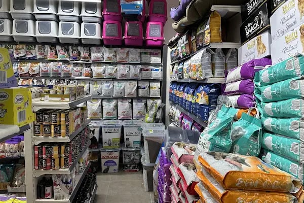 Petasya Kayışdağı Petshop - Resim 5