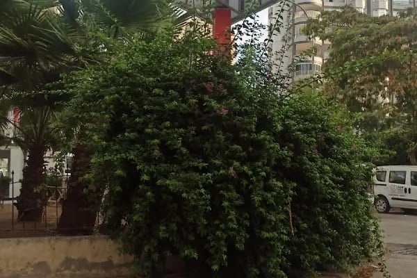Türk Kızılay'ı Adana Kan Bağış Merkezi - Resim 4