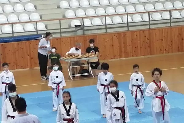 MÜZAHİR SİLLE SPOR KOMPLEKSİ - Resim 13