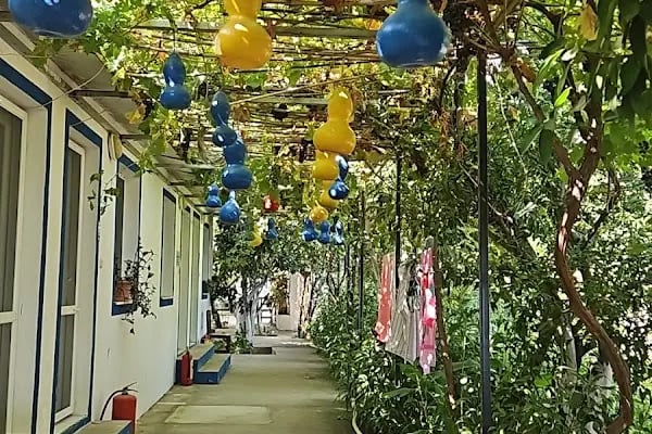 Mazı Neşe Pansiyon - Resim 4