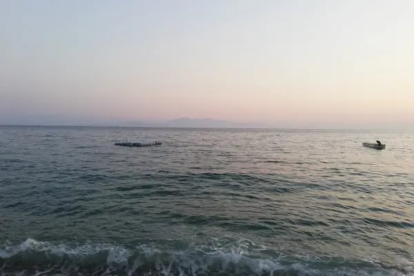 Mazı Neşe Pansiyon - Resim 13