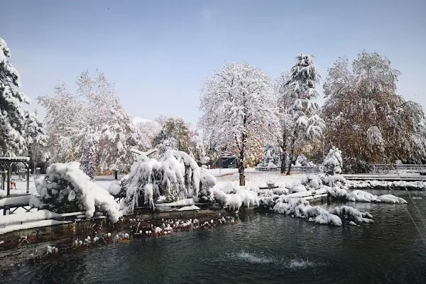 Hürriyet Parkı - Resim 3