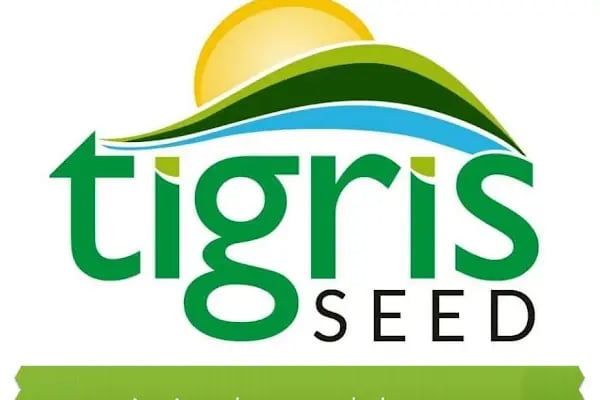 Tigris Seed - Resim 1