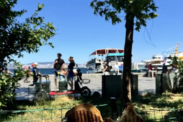 Bahar Cafe Heybeliada - Resim 8
