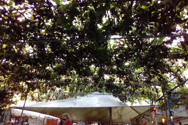Bahar Cafe Heybeliada - Resim 10