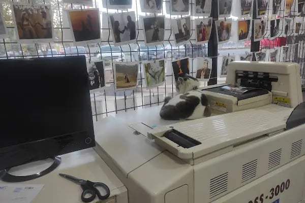 Ataşehir Fotoğrafçı Ataşehir Zümrüt Fotoğrafçılık - Resim 6