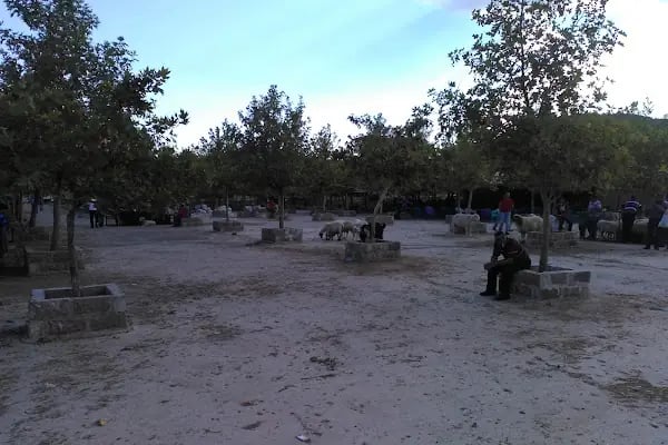 Kadir Çetin Parkı - Resim 17