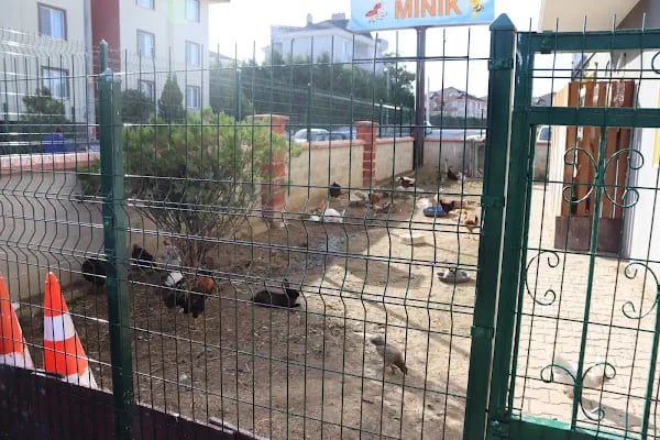 Özel Elit Grup Okulları Minik - Resim 9