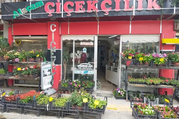 Alaçam Çiçekçilik - Resim 1