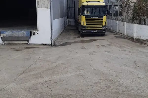 Ceva Lojistik - Karadeniz Bölge Müdürlüğü - Resim 3