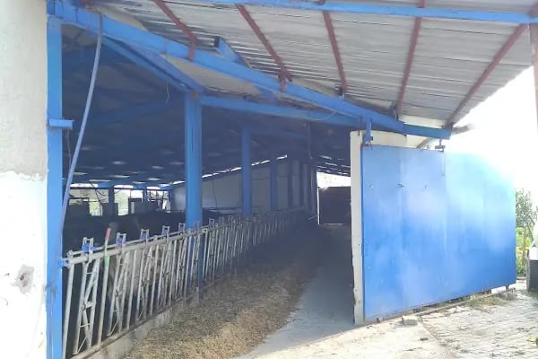 Arı Modern Süt Çiftliği - Resim 6
