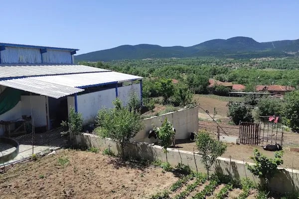Arı Modern Süt Çiftliği - Resim 9