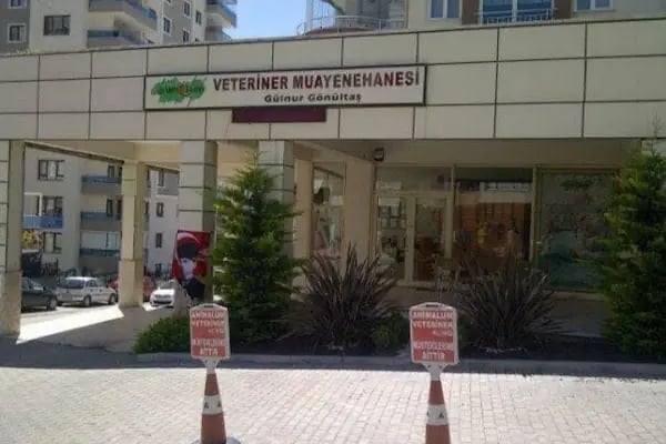 Animalium Veteriner Muayenehanesi / Bursa Veteriner Kliniği / Veteriner Cerrahi - Resim 7