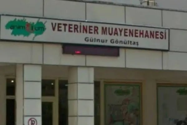 Animalium Veteriner Muayenehanesi / Bursa Veteriner Kliniği / Veteriner Cerrahi - Resim 13