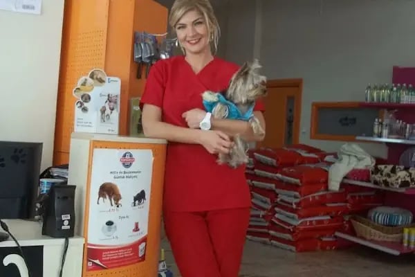 Animalium Veteriner Muayenehanesi / Bursa Veteriner Kliniği / Veteriner Cerrahi - Resim 12