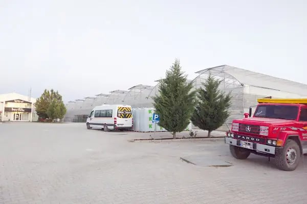 BEY FİDE (BEYLERBEYİ TARIM GIDA HAYVANCILIK NAKLİYAT TİCARET LTD.ŞTİ.) - Resim 8