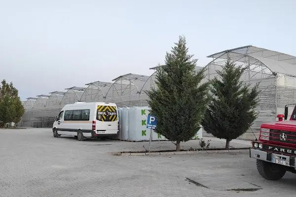 BEY FİDE (BEYLERBEYİ TARIM GIDA HAYVANCILIK NAKLİYAT TİCARET LTD.ŞTİ.) - Resim 9