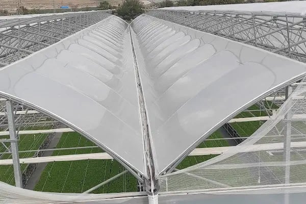 BEY FİDE (BEYLERBEYİ TARIM GIDA HAYVANCILIK NAKLİYAT TİCARET LTD.ŞTİ.) - Resim 7