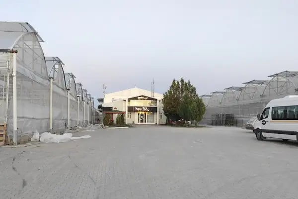 BEY FİDE (BEYLERBEYİ TARIM GIDA HAYVANCILIK NAKLİYAT TİCARET LTD.ŞTİ.) - Resim 10