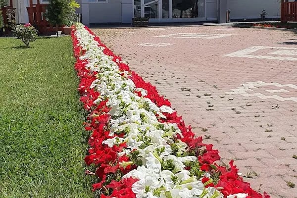 BEY FİDE (BEYLERBEYİ TARIM GIDA HAYVANCILIK NAKLİYAT TİCARET LTD.ŞTİ.) - Resim 5