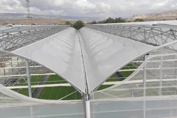 BEY FİDE (BEYLERBEYİ TARIM GIDA HAYVANCILIK NAKLİYAT TİCARET LTD.ŞTİ.) - Resim 16