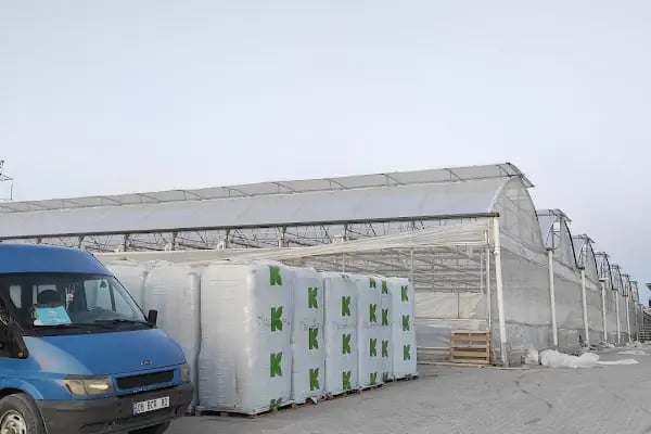 BEY FİDE (BEYLERBEYİ TARIM GIDA HAYVANCILIK NAKLİYAT TİCARET LTD.ŞTİ.) - Resim 11
