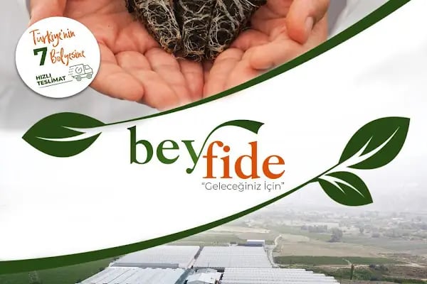 BEY FİDE (BEYLERBEYİ TARIM GIDA HAYVANCILIK NAKLİYAT TİCARET LTD.ŞTİ.) - Resim 15