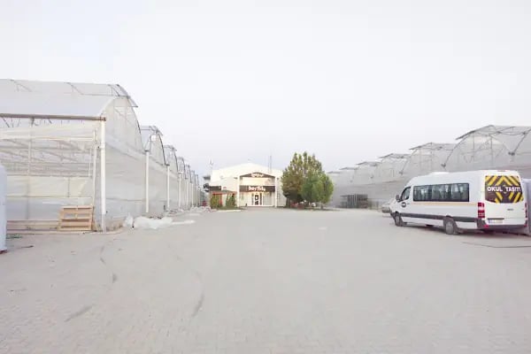 BEY FİDE (BEYLERBEYİ TARIM GIDA HAYVANCILIK NAKLİYAT TİCARET LTD.ŞTİ.) - Resim 2