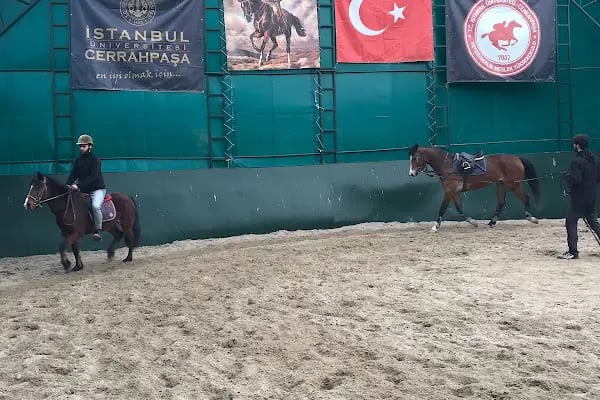 İstanbul Üniversitesi - Cerrahpaşa Veteriner Meslek Yüksekokulu - Resim 8