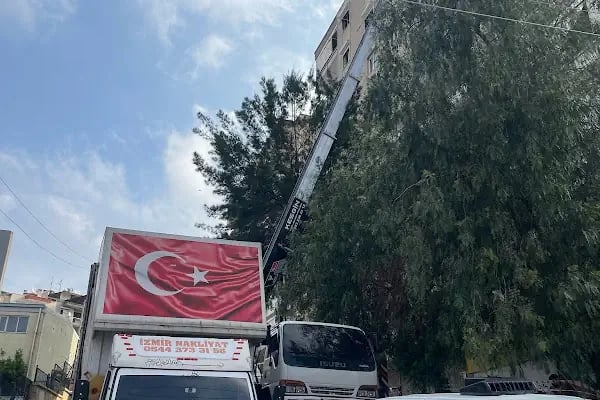 İzmir nakliyat Alkış - Resim 12
