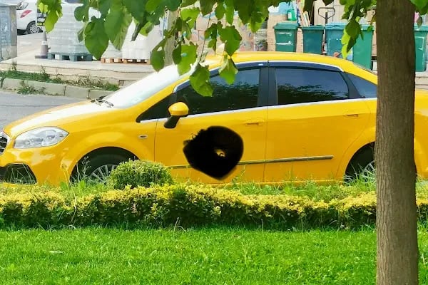 Çerkezköy taksi - Resim 4